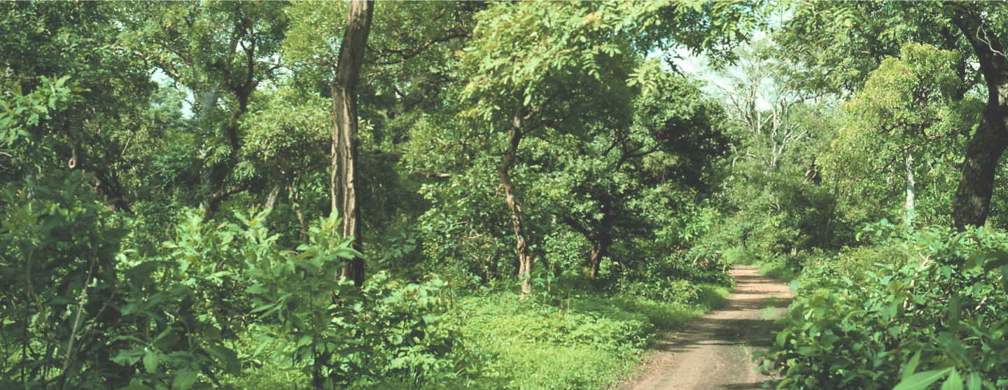 Le réchauffement climatique