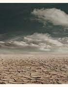 Journée mondiale de lutte contre la désertification et la sécheresse 2023:Les droits fonciers des femmes