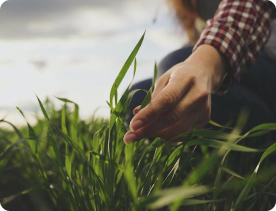 Développer l’Agroécologie à grande échelle