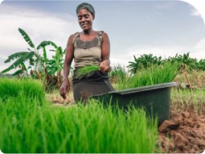 Décentralisation et gouvernance locale