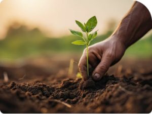 Gestion des connaissances