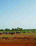 Approche Territoriale des Changements Climatiques au Sénégal : cas...