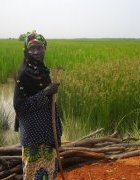 Les films de IED Afrique