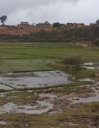 Opinion : Agriculture familiale paysanne ou agrobusiness, un choix...