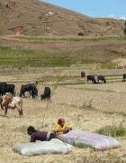 Espaces et Territoires