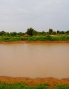 Rapport sur l’analyse du contexte environnemental, politique et économique du Burkina Faso face aux changements climatiques