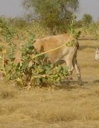 Editorial : Rompre avec le sous-investissement