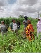 Mission de profilage des entreprises modèles choisis du 26 – 29 juillet 2022 à Linguère