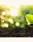 rapports et autres publications