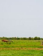 Appel à contribution AGRIDAPE Juin 2015 : Relations Villes-Campagnes