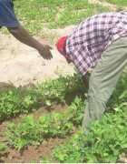 Promouvoir une gouvernance plus inclusive des OP : les...