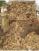 Les pratiques de gestion de la diversité variétale...