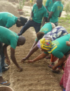 Agriculture durable et insertion des jeunes