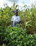 Un réseau de fermes agroécologiques pour autonomiser des...