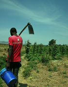 OPINION : Dr. Emile N. HOUNGBO  » Quel modèle...