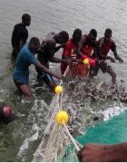 La niche aquaculture au Sénégal