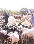 IED Afrique accueille la troisième session du cycle de seminaires transdisciplinaires de l’initiative « Acteurs, savoirs et dispositifs du développement participatif au Sénégal – Regards croisés »