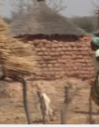 Face aux changements climatiques