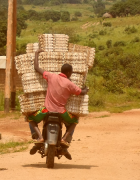 Région de l’Adamaoua au Cameroun : Des échanges ville...