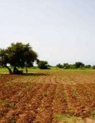 Lettre d’interpellation adressée au gouvernement de la République du Sénégal, des pays membres du G7 et à l’Union Africaine