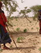 Changement climatique et résilience des systèmes agroalimentaires