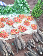 OPINION : Connotations et réalités des échanges agricoles entre...