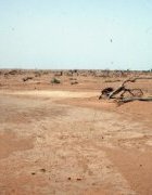 Nouveau rapport d’étude sur le contexte socioéconomique, politique et environnemental du Sénégal dans un contexte de changement climatique