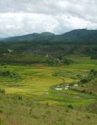 Gestion intégrée des ressources naturelles et revitalisation de...