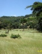 Editorial : Négligence coupable