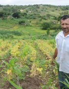 Intensification sans simplification : une stratégie pour combattre la...