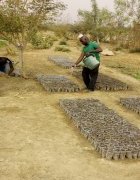 Mali : la plateforme Benkadi Bougou vole au secours...