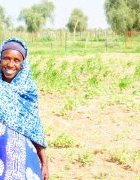 Mécanismes de reddition des comptes dans la gouvernance foncière