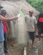 Appui à l’organisation des acteurs de la pêche...