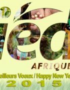 BONNE ET HEUREUSE ANNÉE 2015