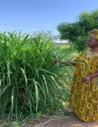 Mission de collecte de données dans la zone de Dahra – Linguère du 17 au 20 mai 2022