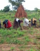 Editorial : Pour un renforcement des stratégies de résilience...