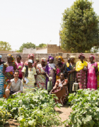 OPINION : Ibrahima Seck « promouvoir l’agriculture biologique pour garantir...