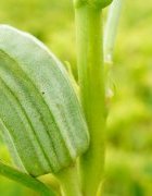 Les photos de IED Afrique