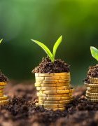 Les fonds climat décentralisés, pour une résilience des territoires et des communautés vulnérables