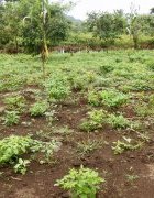 Innover pour restaurer les sols de la région...