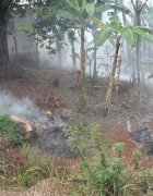 Exploiter autrement la matière organique pour faire vivre...