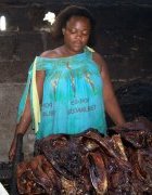 Expériences de la fumaison et de la commercialisation...