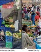 Promouvoir l’économie verte au Sénégal