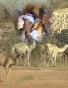 Les conventions locales