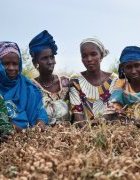 Opinion- Pour la reconnaissance de la paysannerie dans...