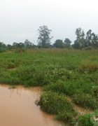 Indisponibilité spatiotemporelle de l’eau pour l’élevage dans le...
