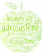Développer l’agroécologie à grande Échelle
