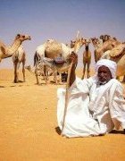 Le paradoxe de l’élevage au Sahel : forts enjeux,...