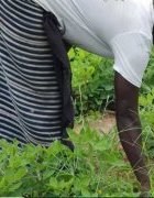 Economie verte au Sénégal : enjeux et perspectives