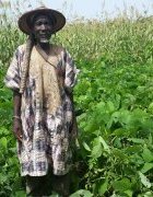 Innovation et gestion de la biodiversité agricole